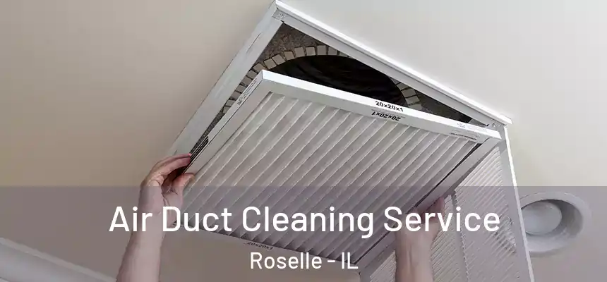 Air Duct Cleaning Service Roselle - IL