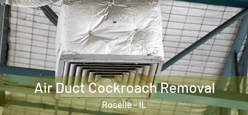 Air Duct Cockroach Removal Roselle - IL