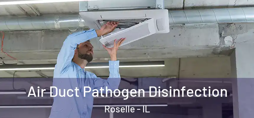 Air Duct Pathogen Disinfection Roselle - IL