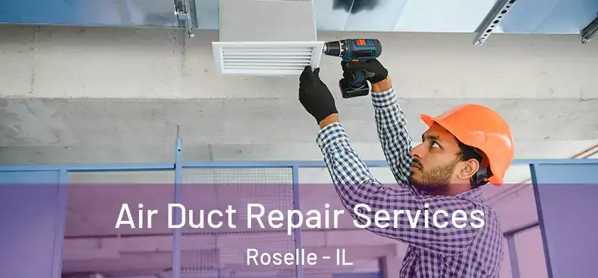 Air Duct Repair Services Roselle - IL