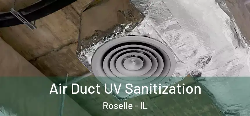  Air Duct UV Sanitization Roselle - IL