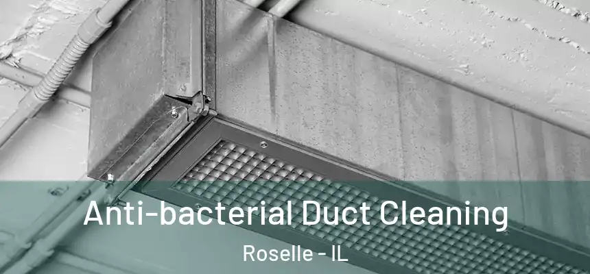 Anti-bacterial Duct Cleaning Roselle - IL