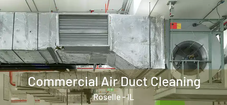 Commercial Air Duct Cleaning Roselle - IL