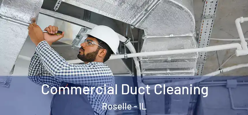 Commercial Duct Cleaning Roselle - IL