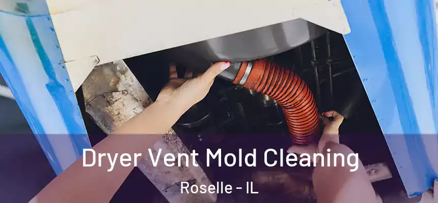  Dryer Vent Mold Cleaning Roselle - IL