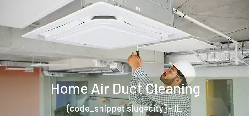 Home Air Duct Cleaning (code_snippet slug=city] - IL
