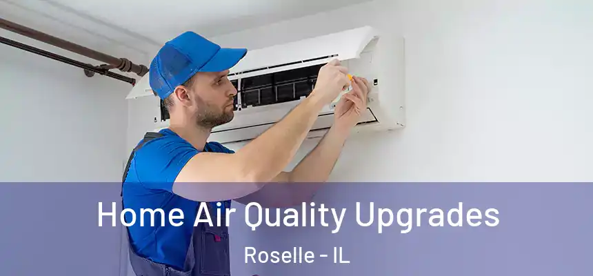 Home Air Quality Upgrades Roselle - IL