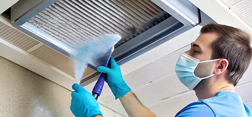 Proactive Dryer Vent & Auxiliary Duct Pollen Cleanup in Roselle, IL