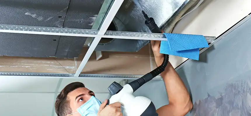 Our Air Duct Rodent Removal Services in Roselle, IL