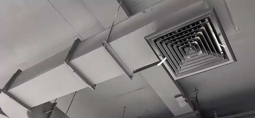 Restorative Allergy Relief Vent Cleaning – Coil, Blower & Housing Detail in Roselle