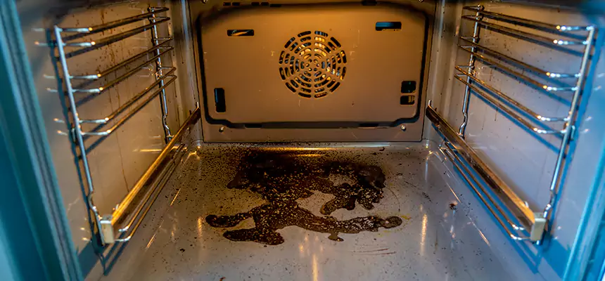 Our Dryer Vent Mold Cleaning Services in Roselle, IL