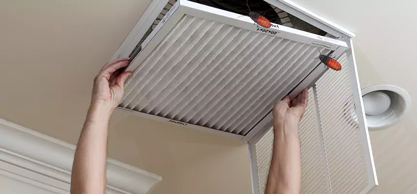 Our Insect Removal from Air Ducts Services in Roselle, IL