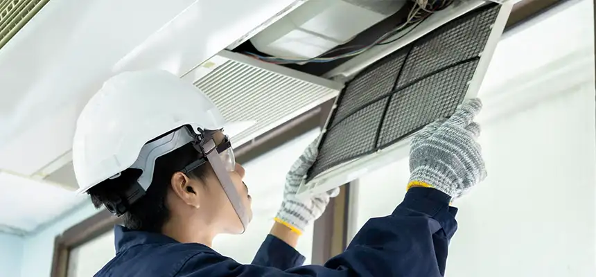 Our Lint Trap Cleaning Service Services in Roselle, IL