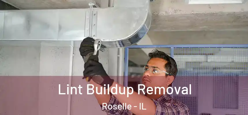 Lint Buildup Removal Roselle - IL