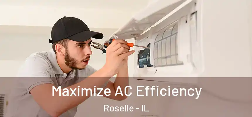 Maximize AC Efficiency Roselle - IL