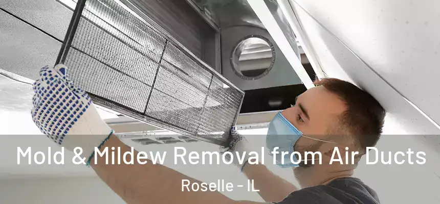 Mold & Mildew Removal from Air Ducts Roselle - IL