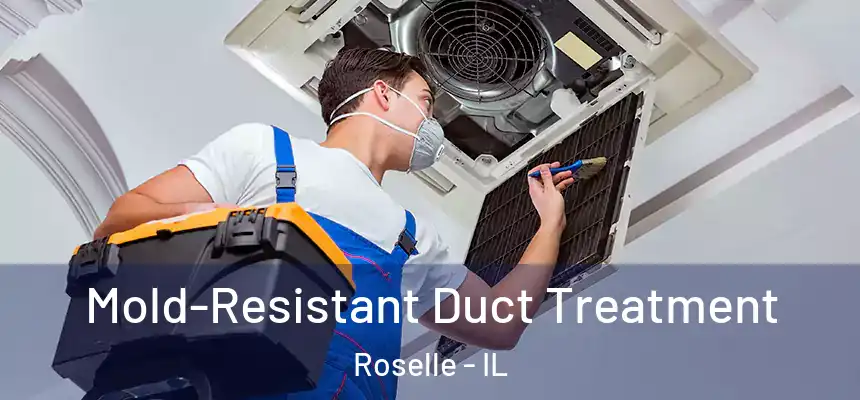 Mold-Resistant Duct Treatment Roselle - IL