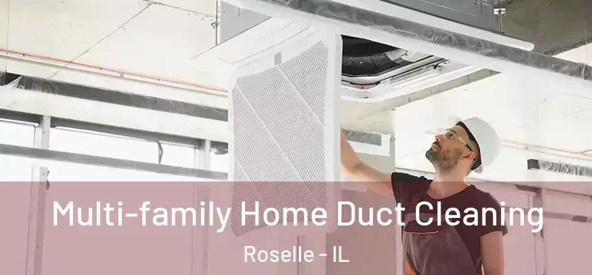  Multi-family Home Duct Cleaning Roselle - IL