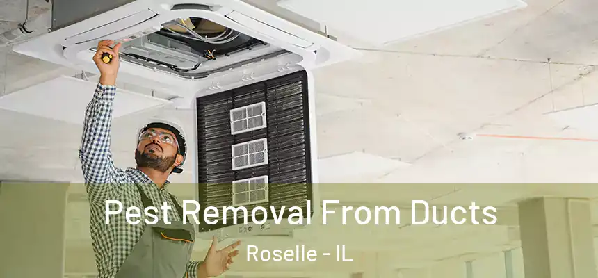  Pest Removal From Ducts Roselle - IL
