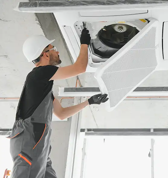 About Air Duct Rodent Removal in Roselle, IL