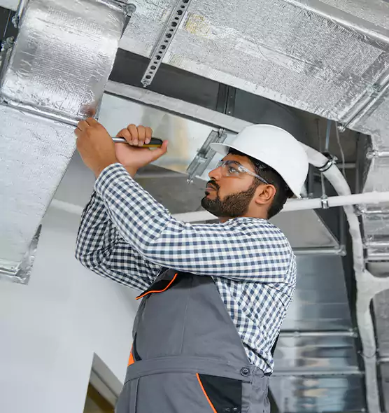 Welcome to Mold & Mildew Removal from Air Ducts Roselle, IL