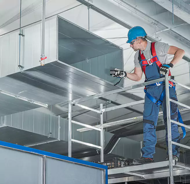 Why Homeowners & Businesses Trust Us in Roselle, IL?