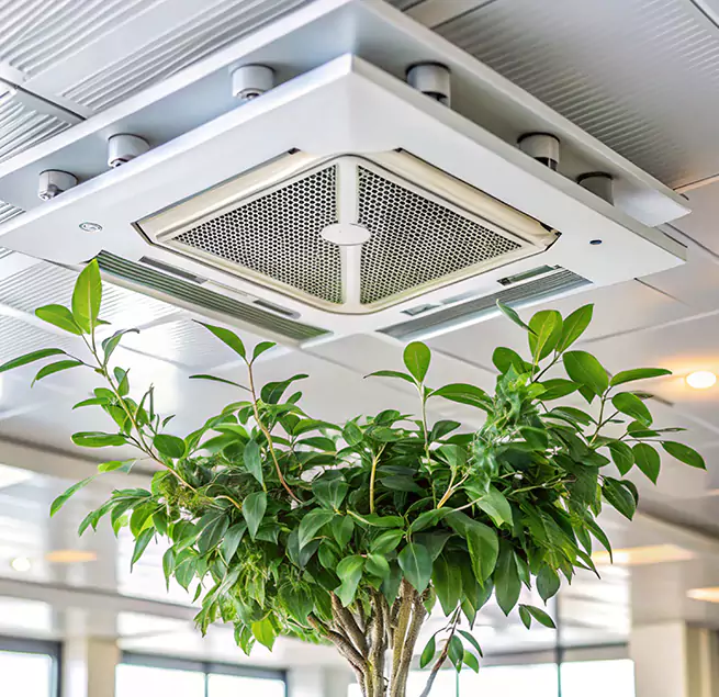 Why Homeowners & Businesses Trust Us in Roselle, IL