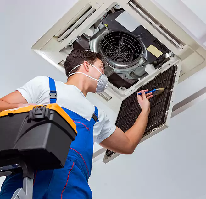 Why Homeowners & Businesses Trust Us in Roselle, IL?