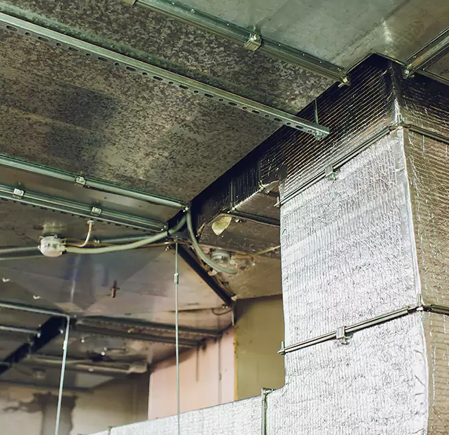 Why Homeowners & Businesses Trust Us in Roselle, IL?