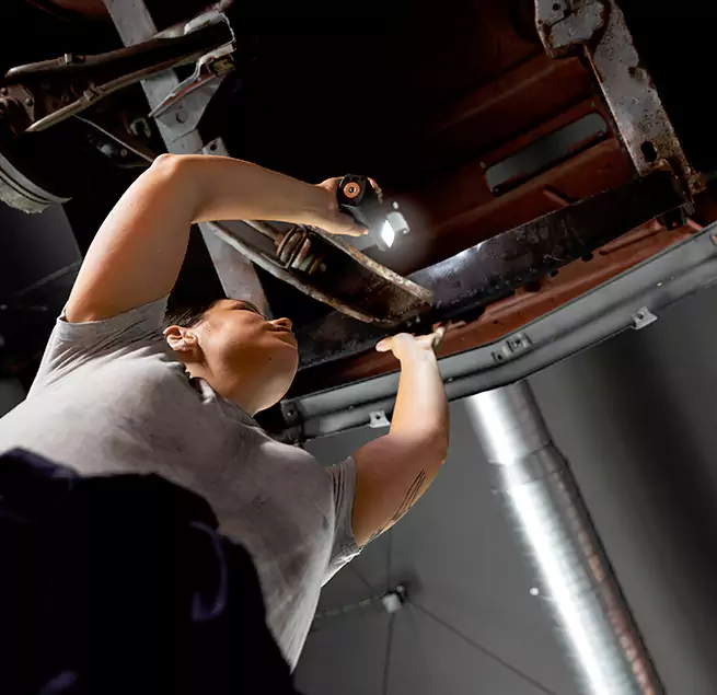 Why Homeowners & Businesses Trust Us Roselle, IL