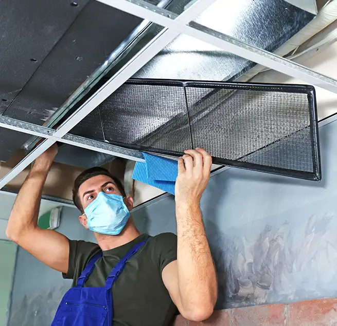 Why Homeowners & Businesses Trust Us in Roselle, IL?