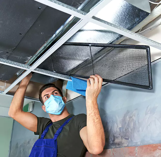 Why Homeowners Businesses Trust Us in Roselle, IL?